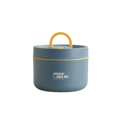 Insulated Stainless Steel Lunch Box with Carry Bag