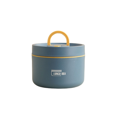 Insulated Stainless Steel Lunch Box with Carry Bag