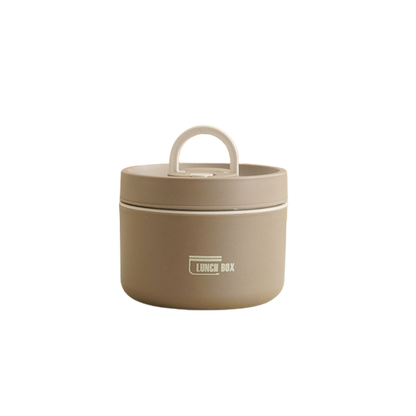 Insulated Stainless Steel Lunch Box with Carry Bag