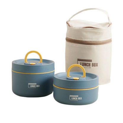Insulated Stainless Steel Lunch Box with Carry Bag
