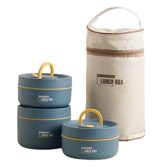 Insulated Stainless Steel Lunch Box with Carry Bag
