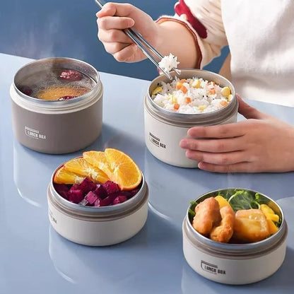 Insulated Stainless Steel Lunch Box with Carry Bag