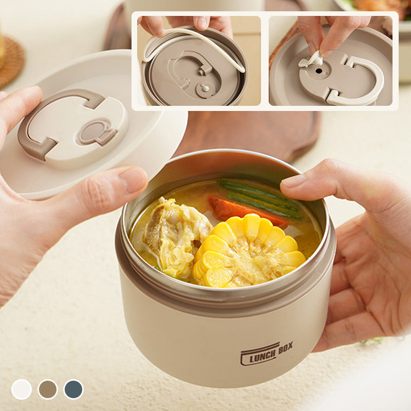 Insulated Stainless Steel Lunch Box with Carry Bag