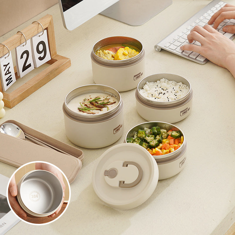 Insulated Stainless Steel Lunch Box with Carry Bag