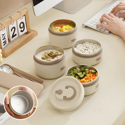Insulated Stainless Steel Lunch Box with Carry Bag
