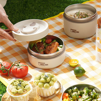 Insulated Stainless Steel Lunch Box with Carry Bag
