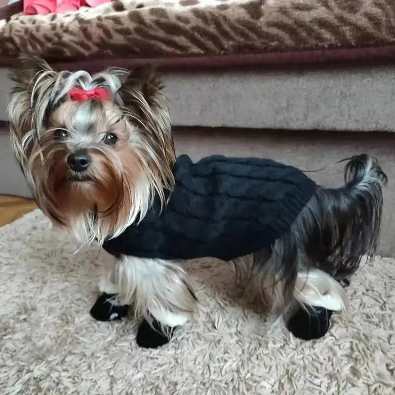 Insulated Waterproof Dog Boots Winter Paw Protection