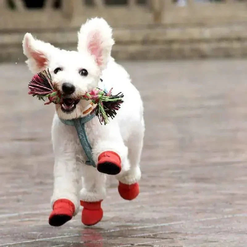 Insulated Waterproof Dog Boots Winter Paw Protection