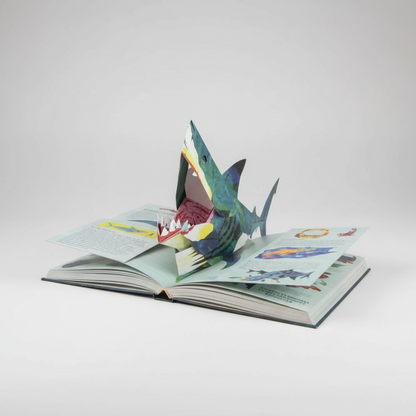 Interactive Dinosaur Pop Up Book with 3D Scenes