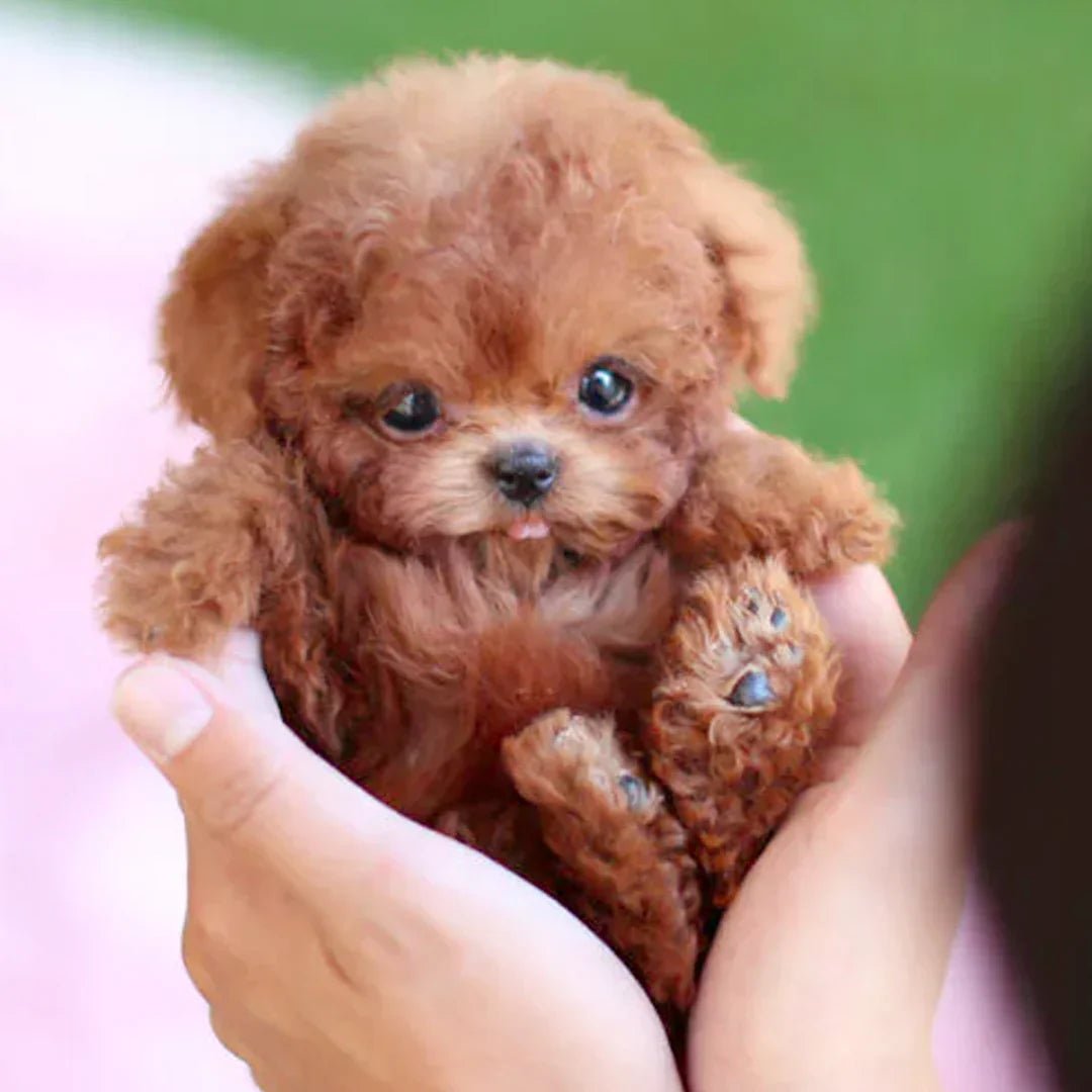 Interactive Robotic Puppy Toy with Realistic Movements