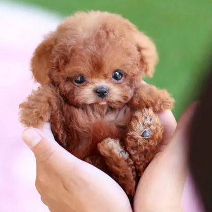Interactive Robotic Puppy Toy with Realistic Movements