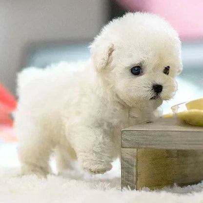 Interactive Robotic Puppy Toy with Realistic Movements