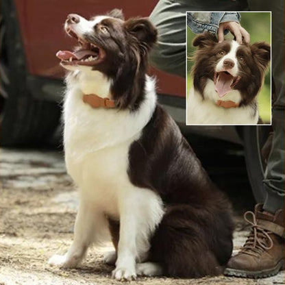 Leather AirTag Dog Collar with Built In Tracker Holder