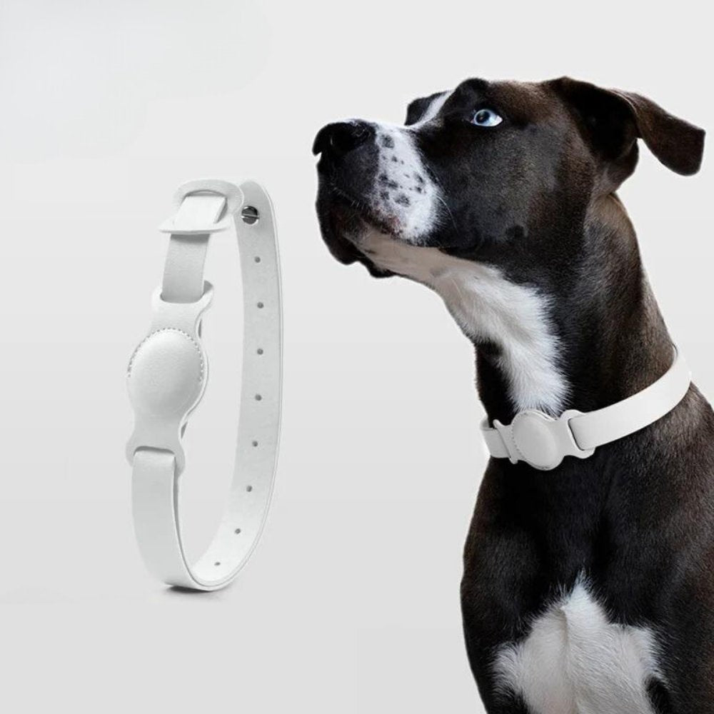 Leather AirTag Dog Collar with Built In Tracker Holder
