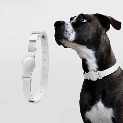 Leather AirTag Dog Collar with Built In Tracker Holder