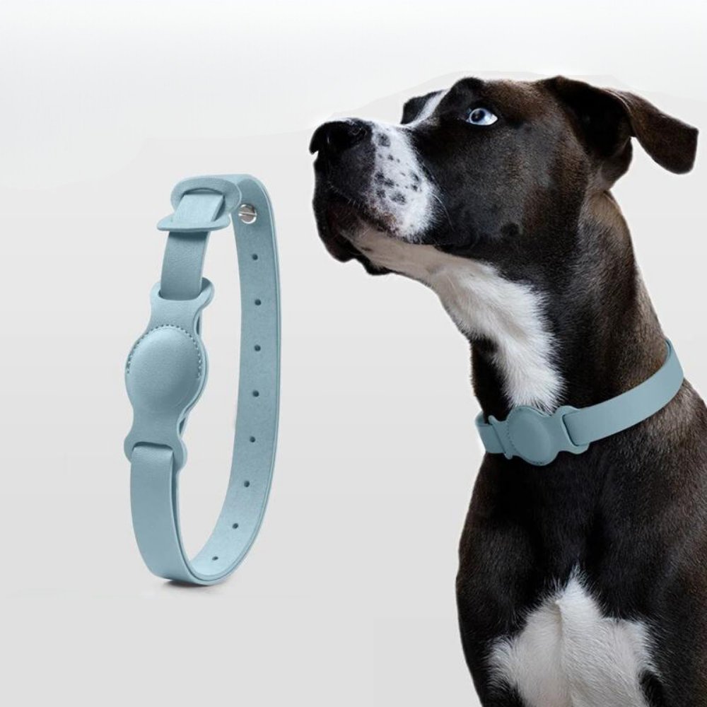 Leather AirTag Dog Collar with Built In Tracker Holder