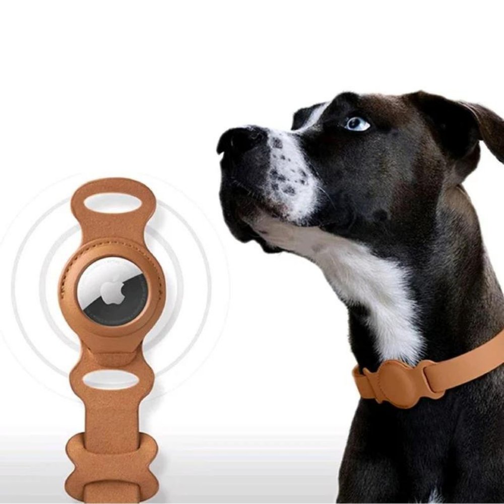 Leather AirTag Dog Collar with Built In Tracker Holder