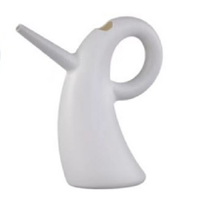 Long Spout Watering Can for Indoor and Outdoor Plants