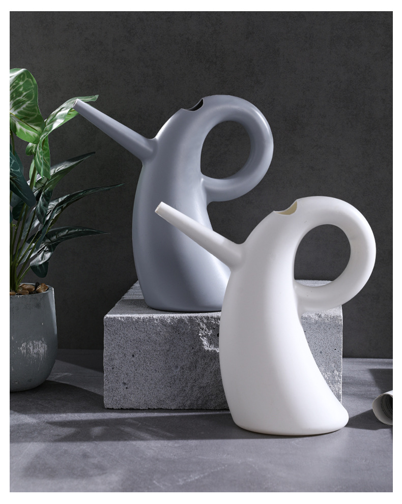 Long Spout Watering Can for Indoor and Outdoor Plants