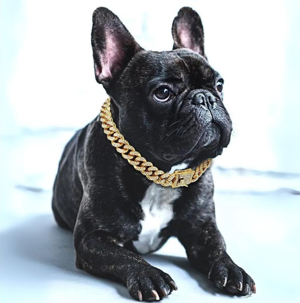 Luxury Cuban Link Dog Chain Collar with Zirconia Accents