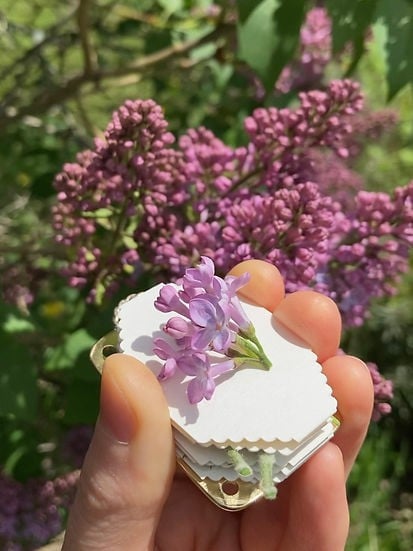 Mini Flower Press Portable Botanical Craft Kit