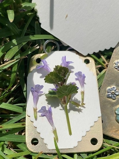 Mini Flower Press Portable Botanical Craft Kit