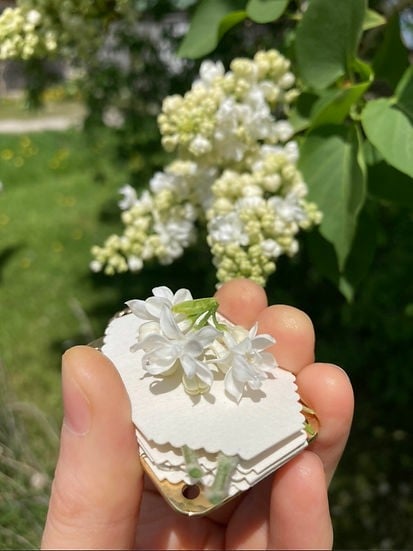 Mini Flower Press Portable Botanical Craft Kit