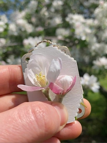 Mini Flower Press Portable Botanical Craft Kit