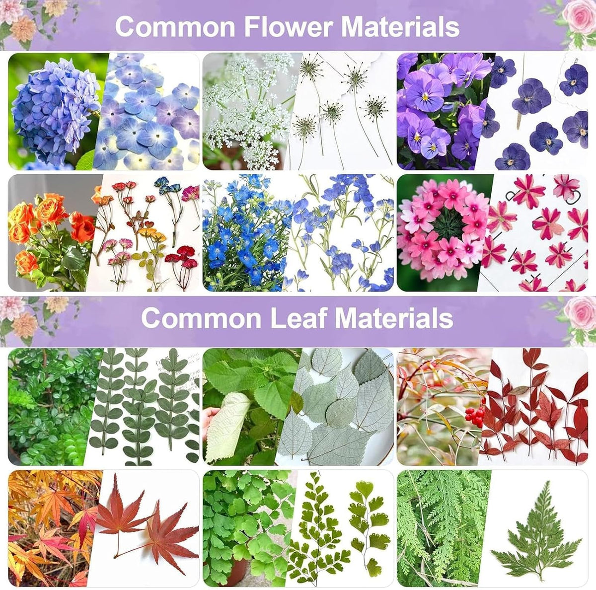 Mini Flower Press Portable Botanical Craft Kit
