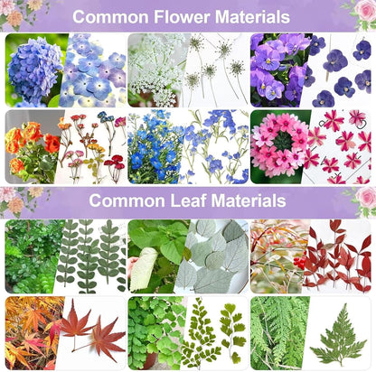 Mini Flower Press Portable Botanical Craft Kit