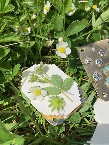 Mini Flower Press Portable Botanical Craft Kit