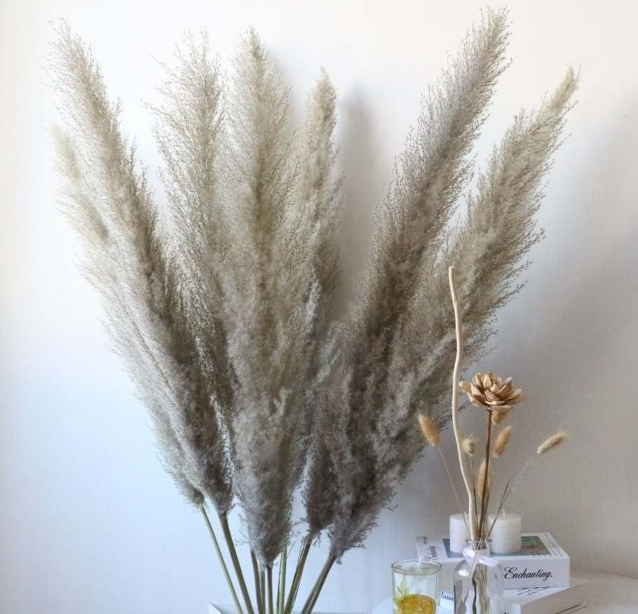 Natural Dried Pampas Grass Bouquet 80 cm