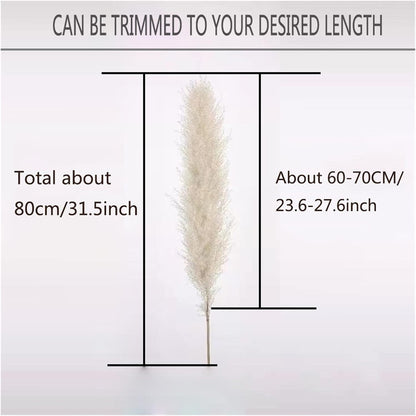 Natural Dried Pampas Grass Bouquet 80 cm