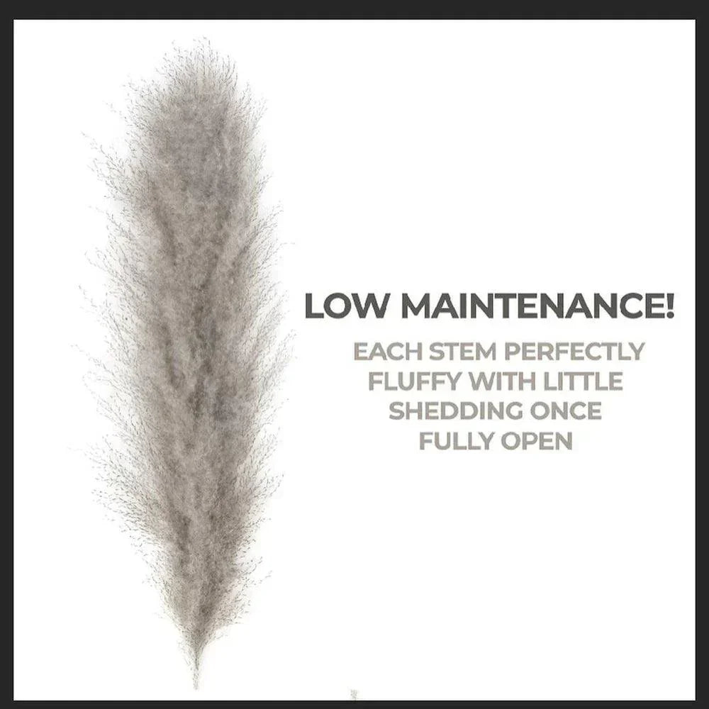 Natural Dried Pampas Grass Bouquet 80 cm