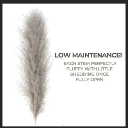Natural Dried Pampas Grass Bouquet 80 cm