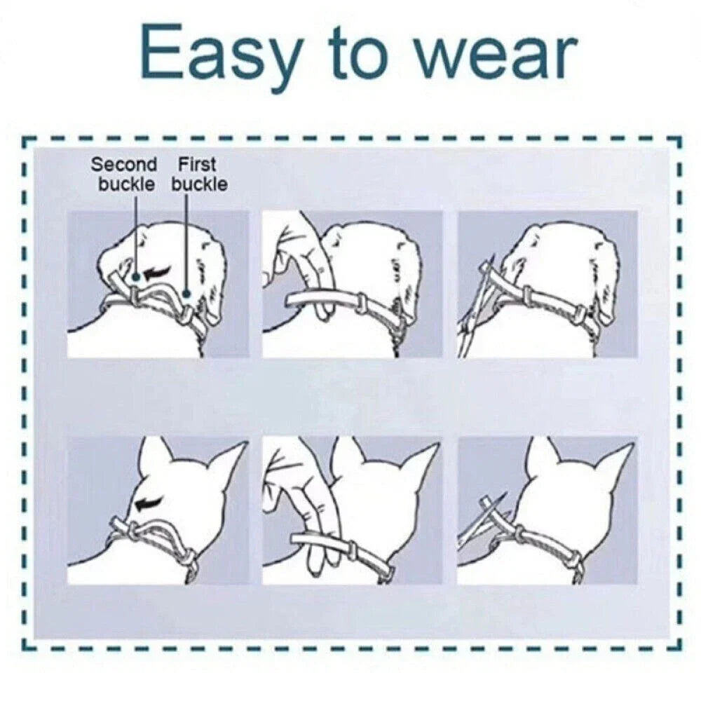 NaturalDefense - 8+ Months Protection against Ticks & Fleas