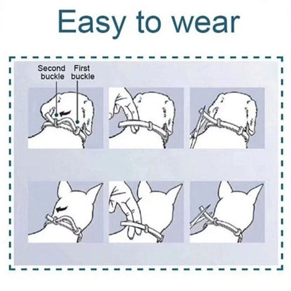 NaturalDefense - 8+ Months Protection against Ticks & Fleas