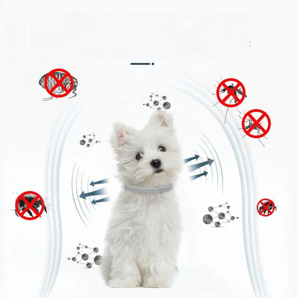 NaturalDefense - 8+ Months Protection against Ticks & Fleas