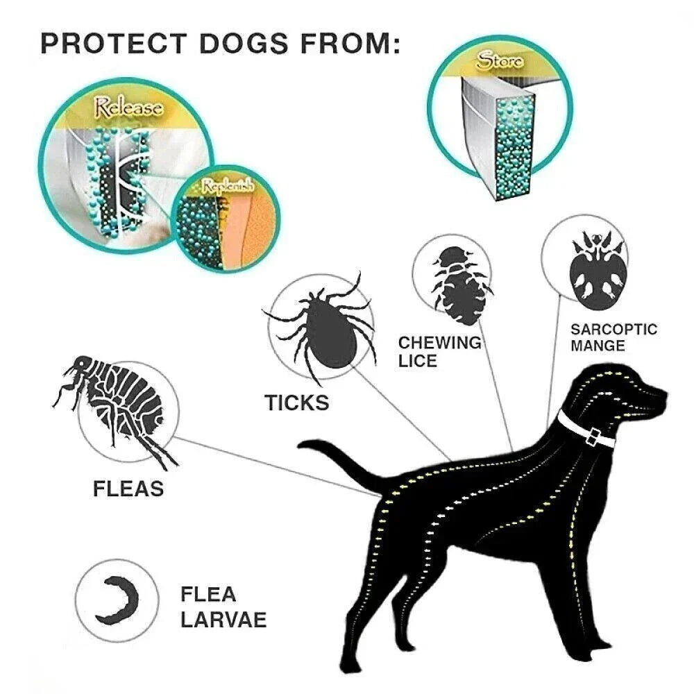 NaturalDefense - 8+ Months Protection against Ticks & Fleas