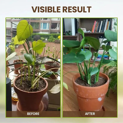 Organic Soil Activator Plant Growth Root Booster Fertilizer