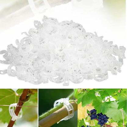 Plastic Plant Trellis Clips for Tomatoes and Climbing Plants