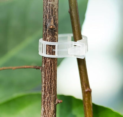 Plastic Plant Trellis Clips for Tomatoes and Climbing Plants
