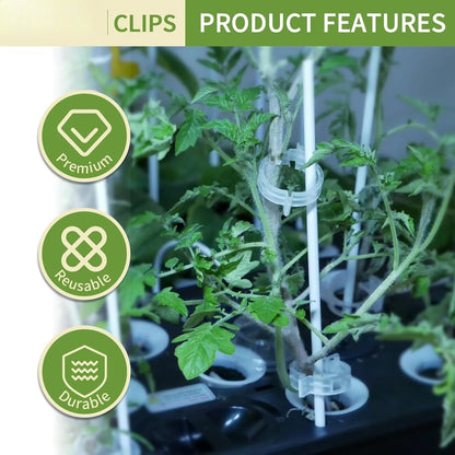 Plastic Plant Trellis Clips for Tomatoes and Climbing Plants