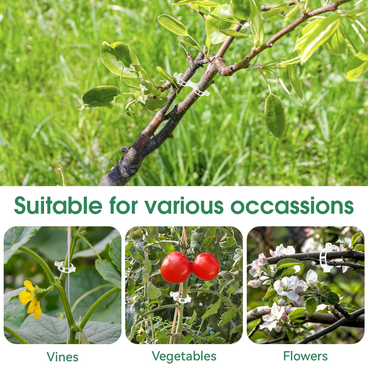 Plastic Plant Trellis Clips for Tomatoes and Climbing Plants