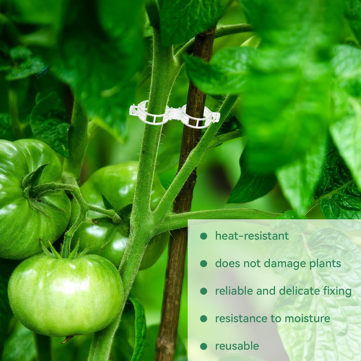 Plastic Plant Trellis Clips for Tomatoes and Climbing Plants