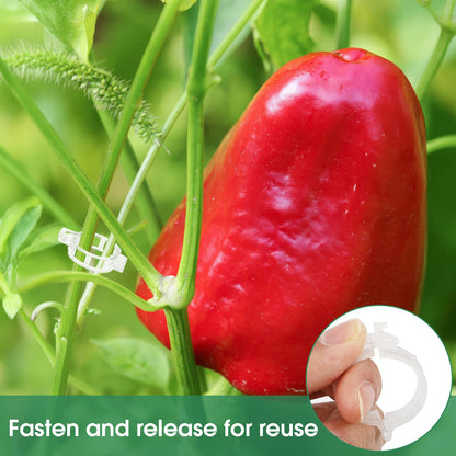 Plastic Plant Trellis Clips for Tomatoes and Climbing Plants
