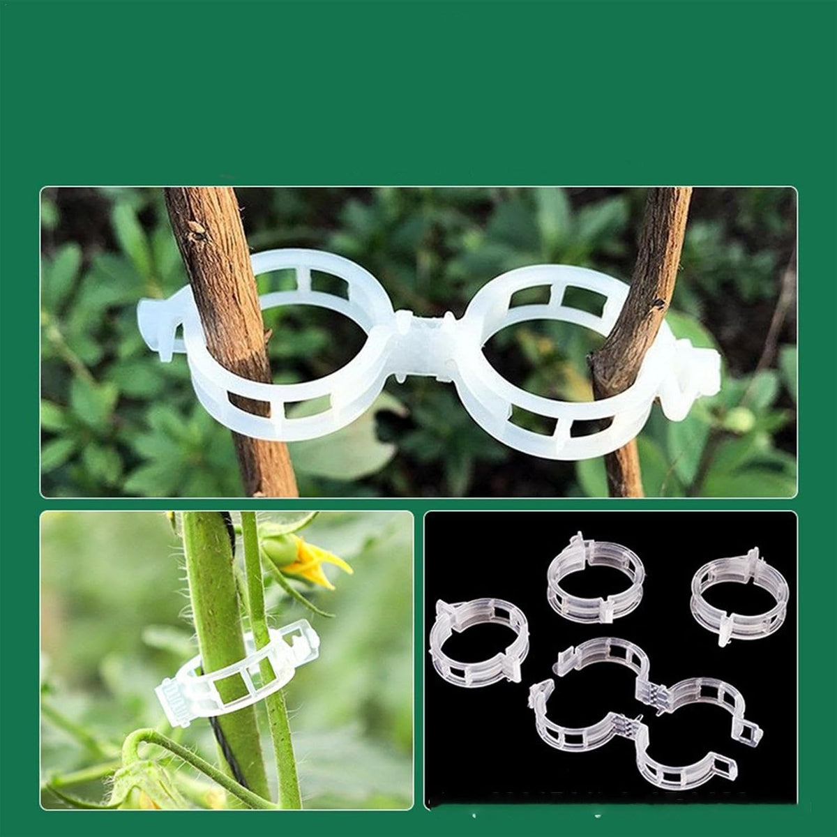 Plastic Plant Trellis Clips for Tomatoes and Climbing Plants