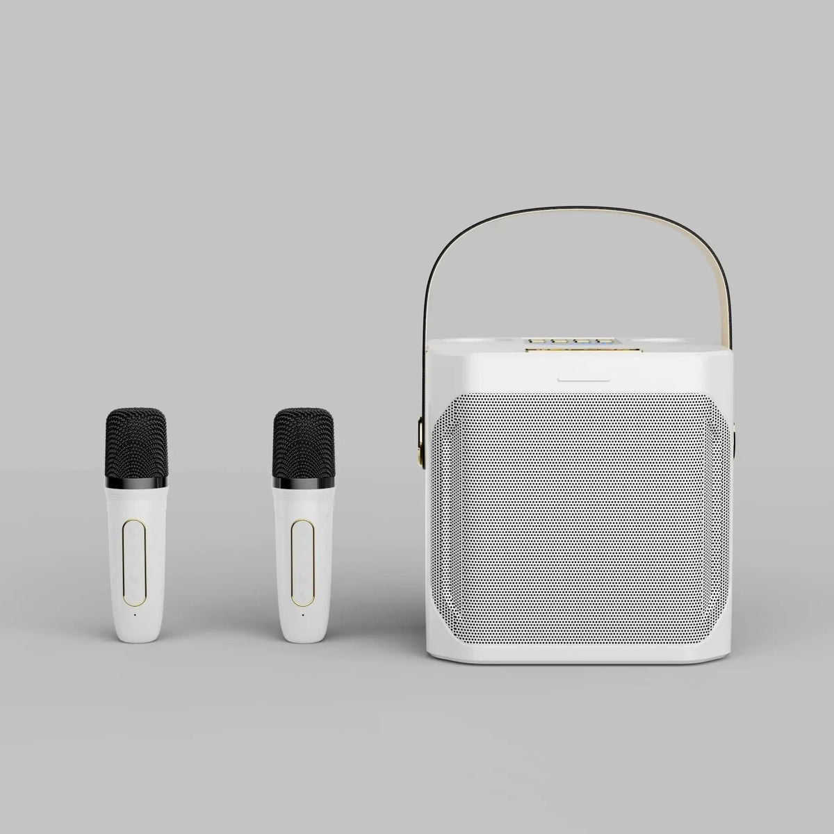 Portable Bluetooth Karaoke Speaker with Dual Microphones and 360 Sound