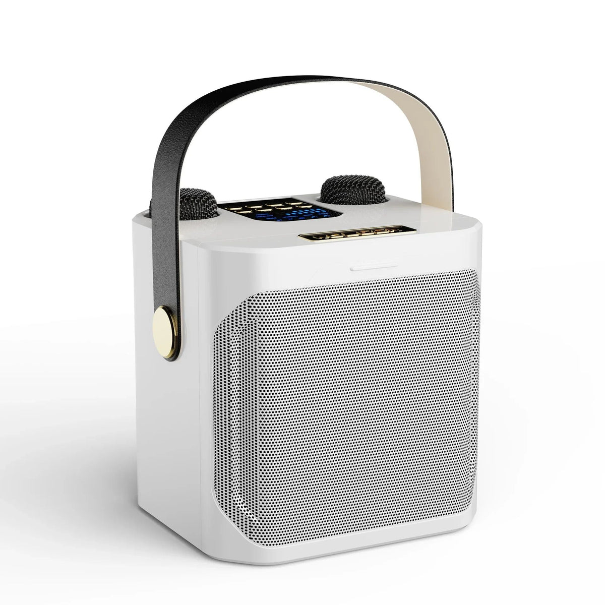 Portable Bluetooth Karaoke Speaker with Dual Microphones and 360 Sound