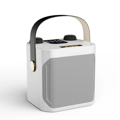 Portable Bluetooth Karaoke Speaker with Dual Microphones and 360 Sound